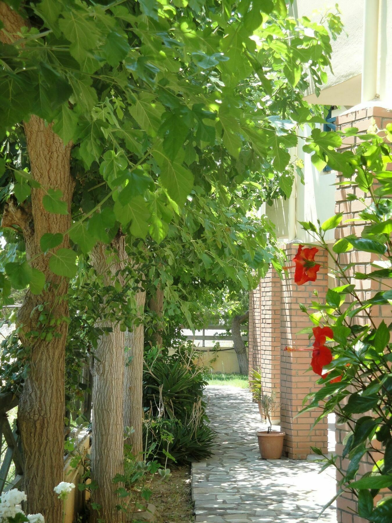 Nancy - Chara Apartments Karteros Exterior photo